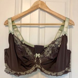 Adore me purple and mint lace bra